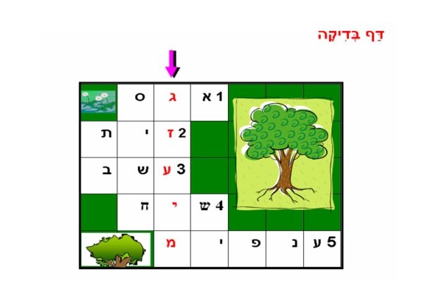 דף בדיקה למשימת המחשב